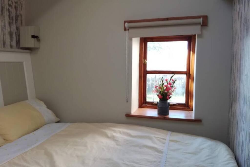 Farm Accommodation - The Lizard Peninsula, Cornwall 赫尔斯顿 外观 照片