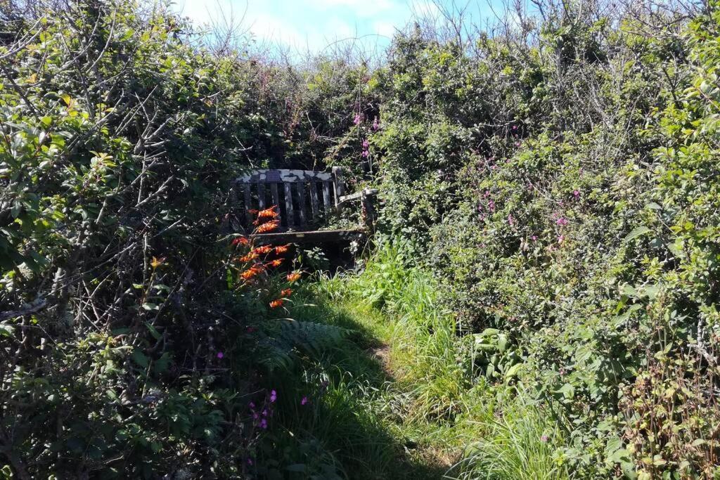 Farm Accommodation - The Lizard Peninsula, Cornwall 赫尔斯顿 外观 照片