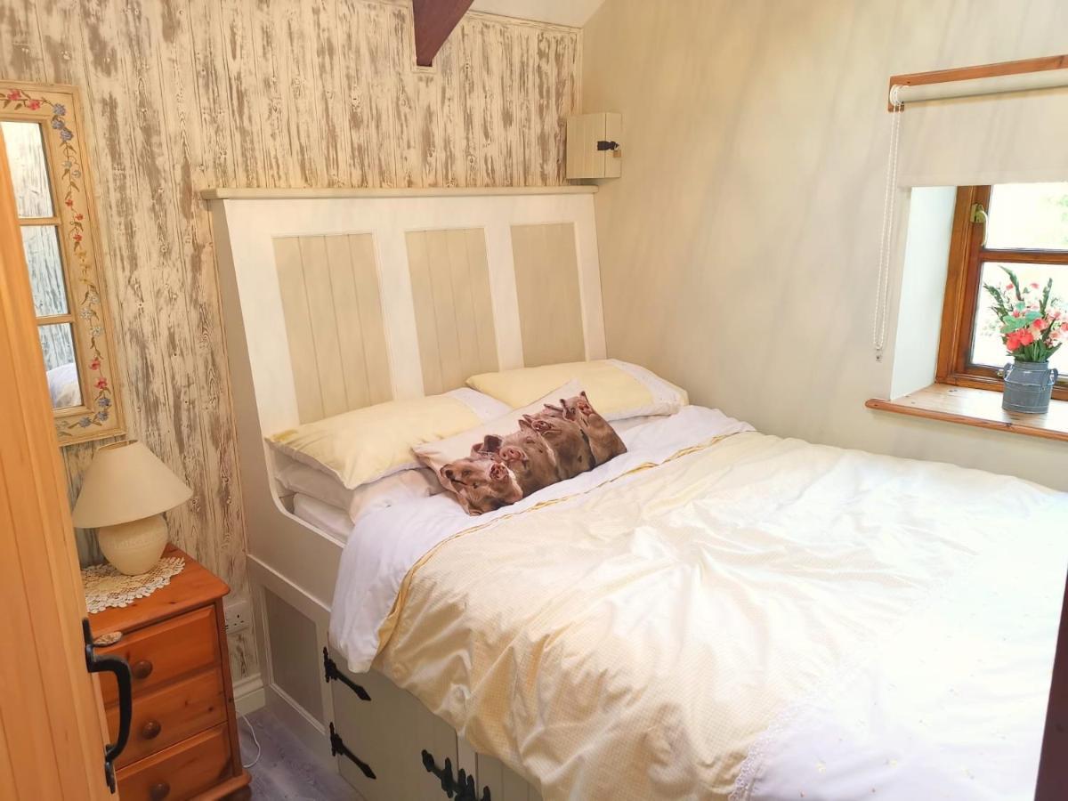 Farm Accommodation - The Lizard Peninsula, Cornwall 赫尔斯顿 外观 照片