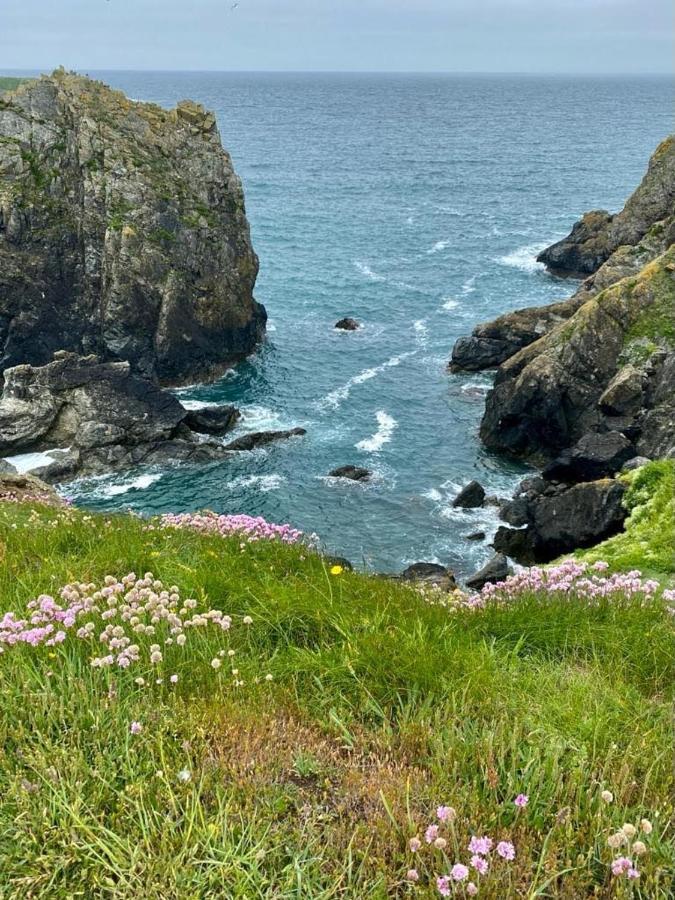 Farm Accommodation - The Lizard Peninsula, Cornwall 赫尔斯顿 外观 照片